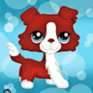 Meet your Posher, Macie